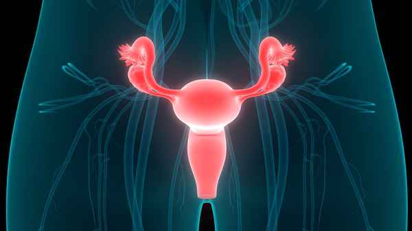 Kanker serviks atau kanker leher rahim adalah jenis kanker yang dimulai dari sel-sel leher rahim (serviks), yaitu bagian bawah rahim yang membentuk leher rahim dan menghubungkan rahim dengan vagina